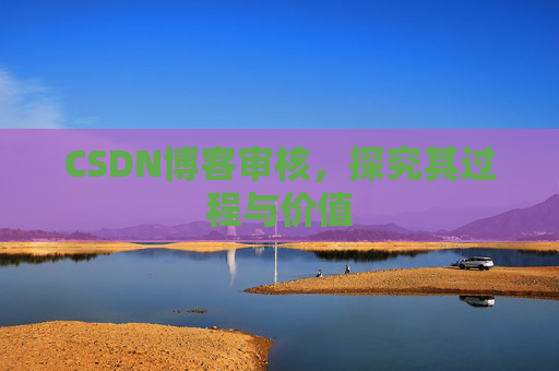CSDN博客审核，探究其过程与价值